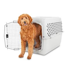 Dog Crates, Pens & Accessories