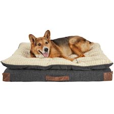 Dog Beds