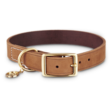 Dog & Puppy Collars: XXS to XXXL Sizes | Petco