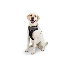 Petco large dog harness best sale