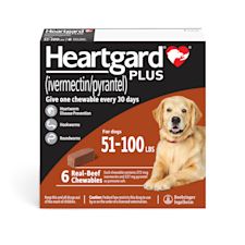 Heartworm clearance pill dogs