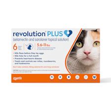 Flea tick worm hot sale prevention for cats