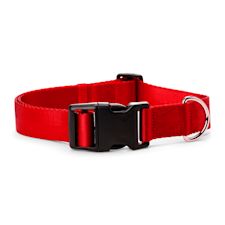 Dog & Puppy Collars: XXS to XXXL Sizes