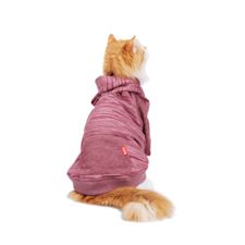 Cat Clothes: Shirts, Sweaters, & More Outfits