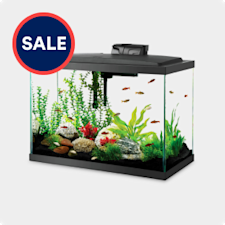 Discount fish supplies best sale