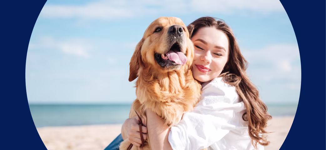 New Pet Dog Guide