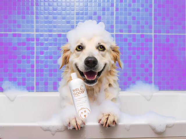 Dog Shampoos, Conditioners & Sprays