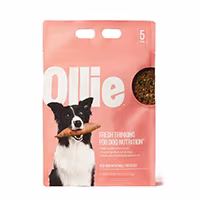 Fresh & Frozen Dog Food