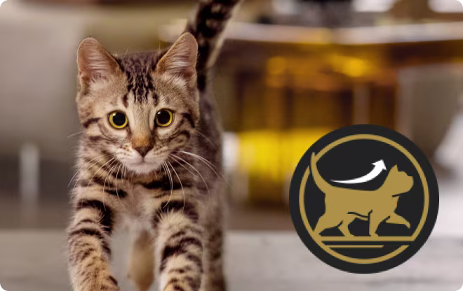 Icon showing cat growth.