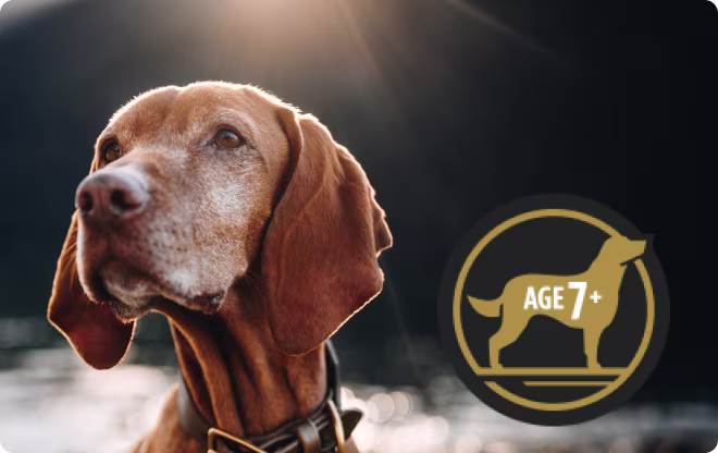 Age 7+