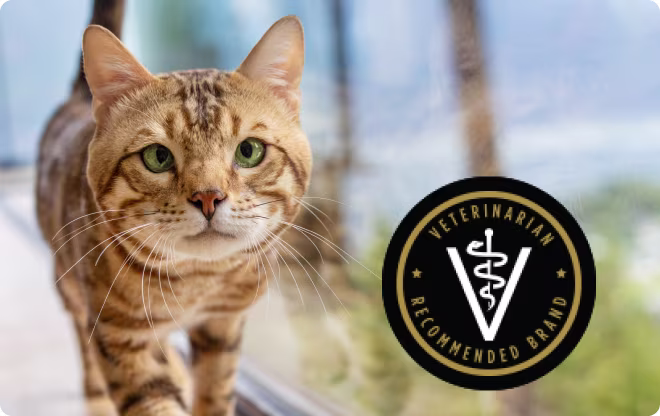 Veterinarian Recommended Brand.