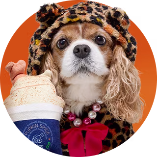 Fall Fashion