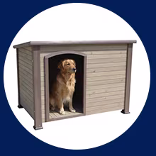 Dog Houses