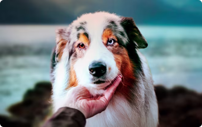 AdvantEDGE.
