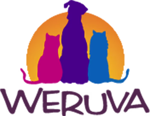 Weruva Wet Dog Food