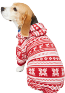 A dog in Christmas pajamas.