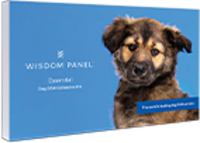Wisdom Panel dog DNA test kit.