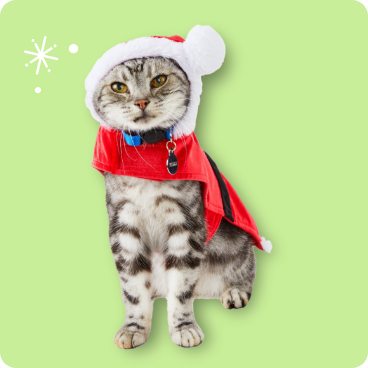 Holiday & Christmas Shop: Find Pet Christmas Gifts & More | Petco