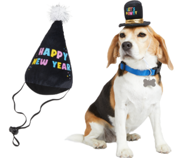 Dog birthday hat top petco