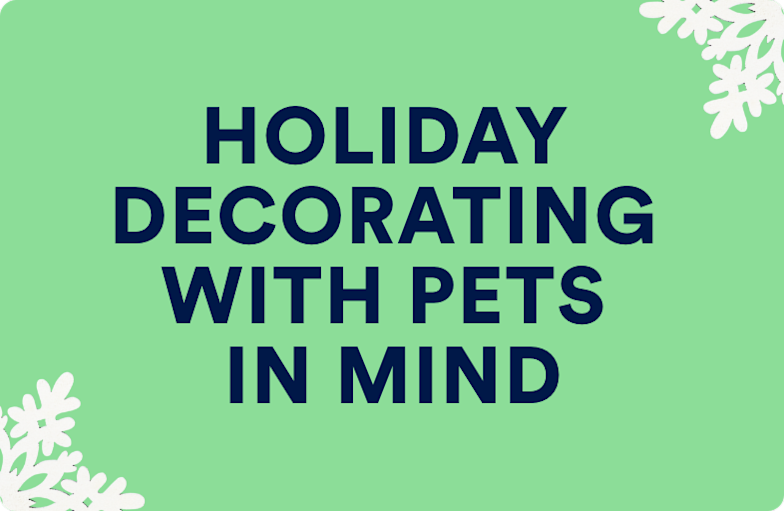 Holiday decorating with pets in mind.