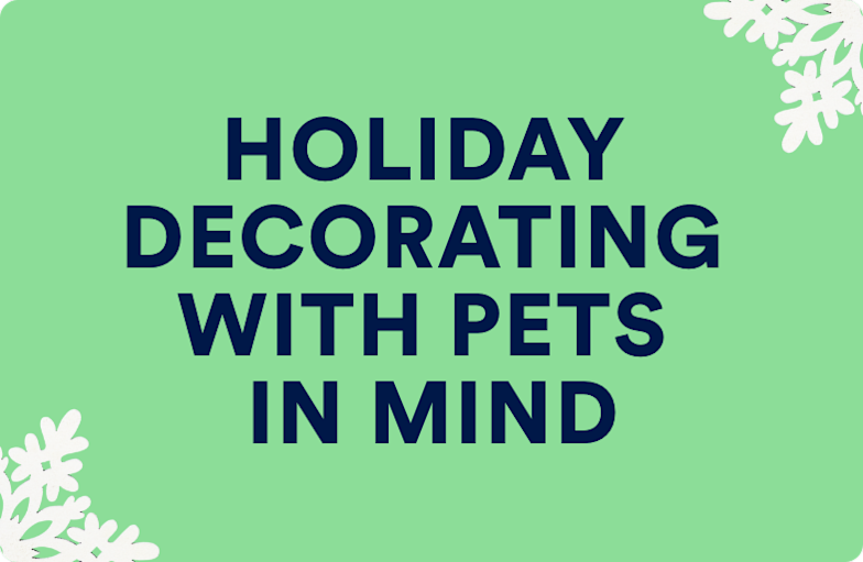 Holiday & Christmas Shop Find Pet Christmas Gifts & More Petco