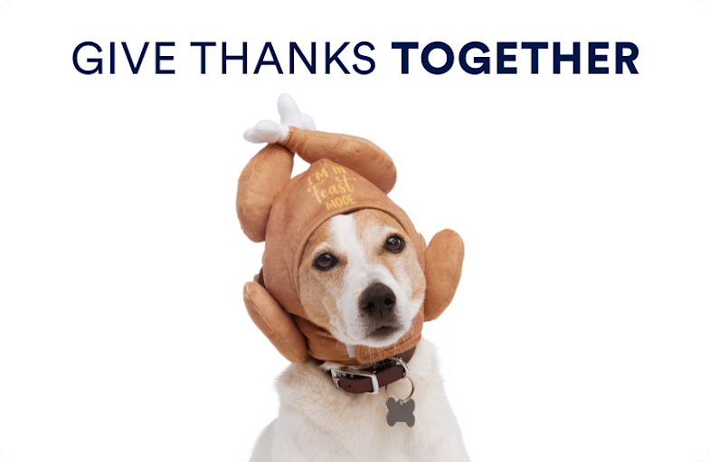 Holiday & Christmas Shop Find Pet Christmas Gifts & More Petco