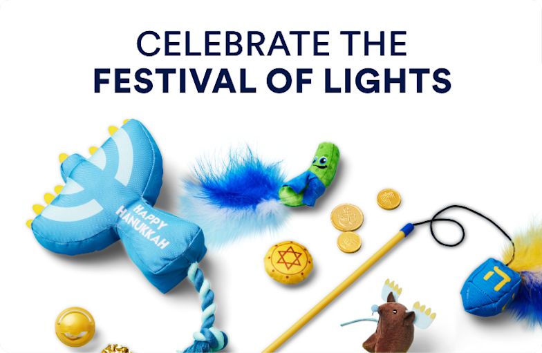 Celebrate the festival of lights.