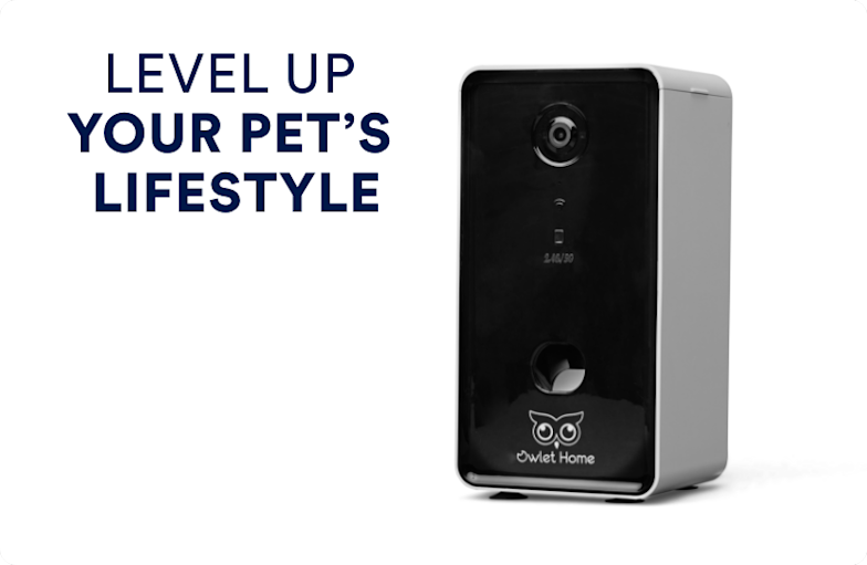 Level up your pet's lifestyle.