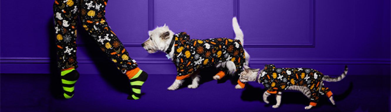 Halloween Petco 2022 Halloween Home Essentials Petco Store