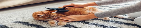Grooming