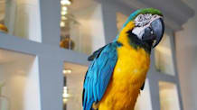 Petco Pet Education Center
