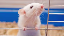 Petco Pet Education Center