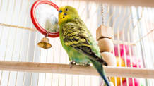 Petco Pet Education Center