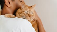 What can I do to prevent my cat from getting urinary problems?