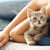 Create a Deep Bond with Your New Kitten: Trust & Lifelong Love