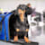 Dog Air Travel: Prepare Your Furry Friend for a Safe & Happy Flight