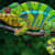 Chameleon Vitamin A: Spot Deficiency Early & Ensure Pet Health