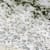 Why Your Fish Pond Foams: Causes, Solutions for a Clear Pond