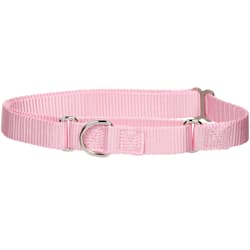 quick release dog collar petco