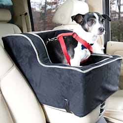 Featured image of post Petco Dog Car Seat