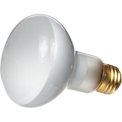 Zilla Day White Light Incandescent Spot Bulbs, 100 Watts