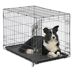 puppy crate online