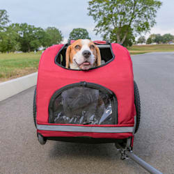 dog bike holder