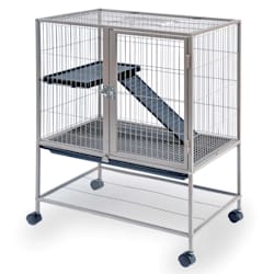 Guinea Pig Cages Ferret Rat Small Animal Cages Petco