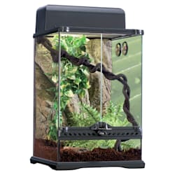 Exo-Terra Rainforest Reptile Glass Terrarium Kit