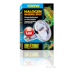 Exo-Terra Halogen Basking Spot Lamp