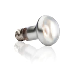 Exo-Terra Intense Basking Spot Lamp