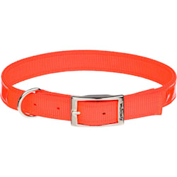 petco led collar