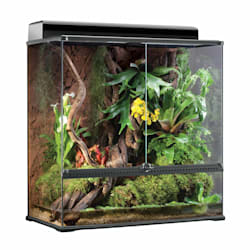 Exo Terra Large X-Tall Terrarium, 36