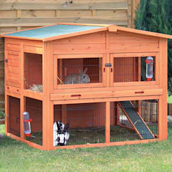 black friday rabbit hutch